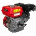 Двигатель бензиновый четырехтактный DDE 168FB-S20 (фильтр-картридж, датчик уровня масла)
